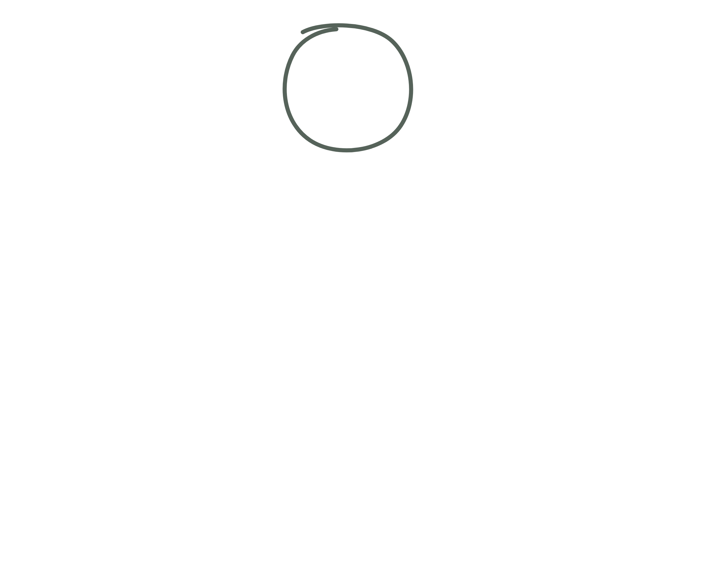 أيتها النساء، سامحننا!