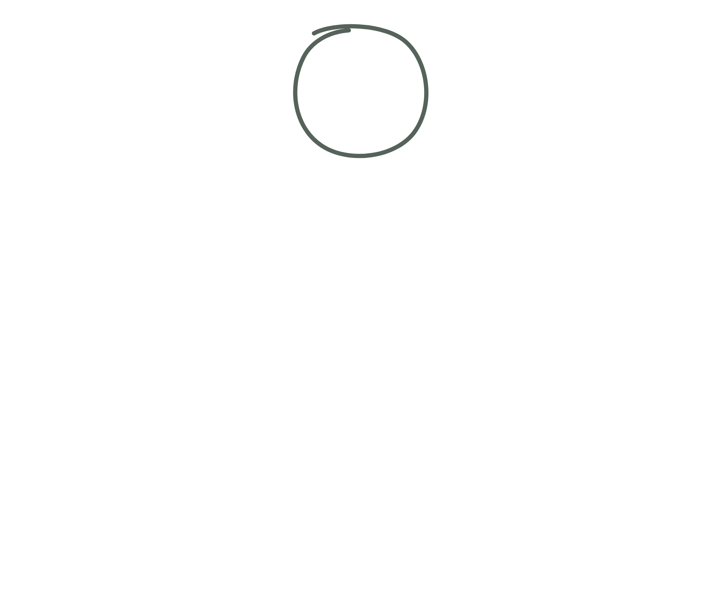 妇女们,请原谅我们!(“Frauen vergebt uns”)